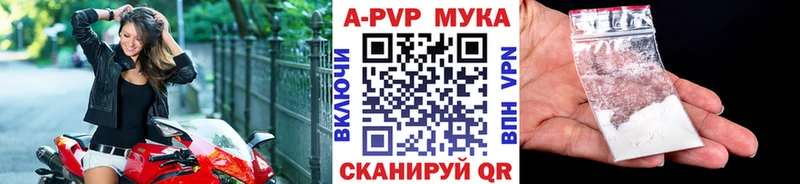 Alpha-PVP СК  сколько стоит  гидра ссылки  Пудож 
